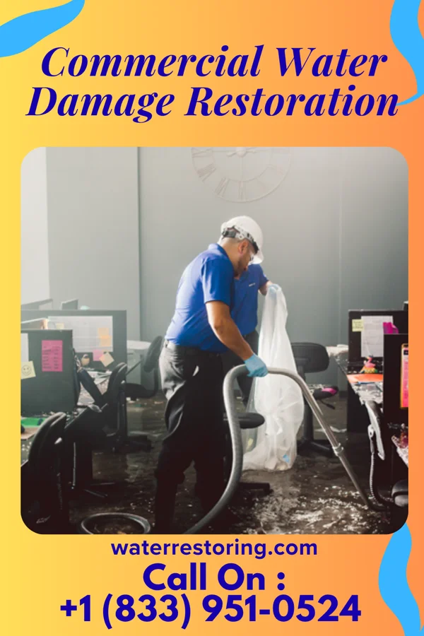Commercial Water Damage Restoration in Hindsboro, IL