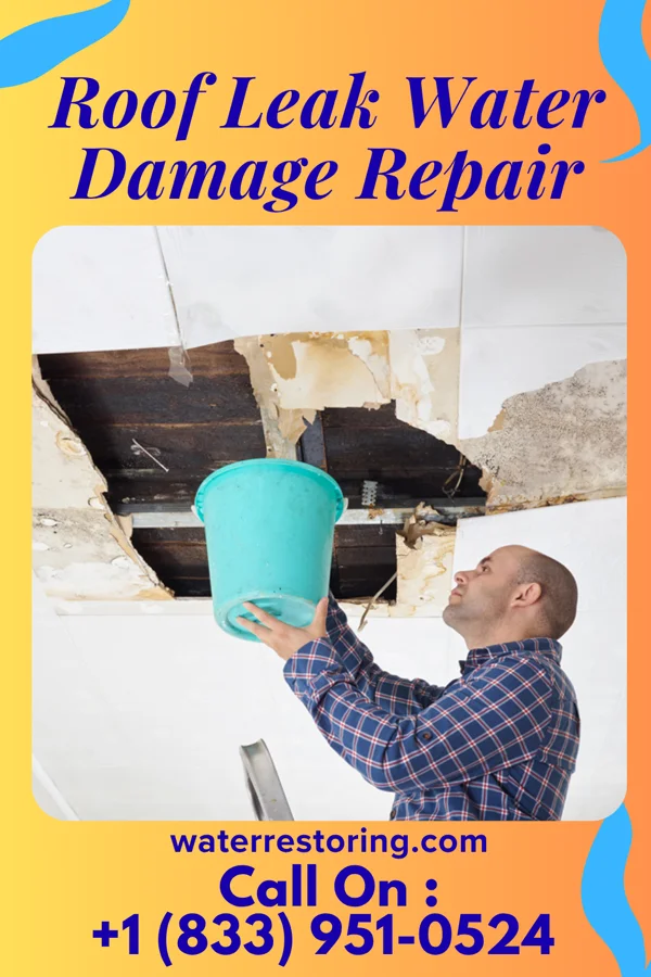 Roof Leak Water Damage Repair in Hindsboro, IL