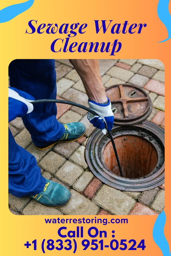 Sewage Water Cleanup in Hindsboro, IL